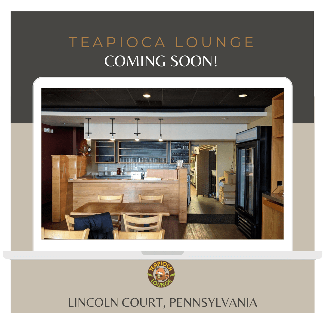 Teapioca Lounge Lincoln Court, Frazer, PA Boba Tea Franchise