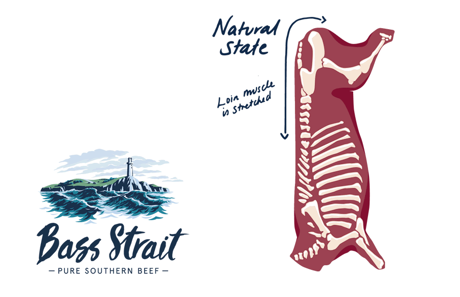 Bass Strait Beef by TEAPOT Digital