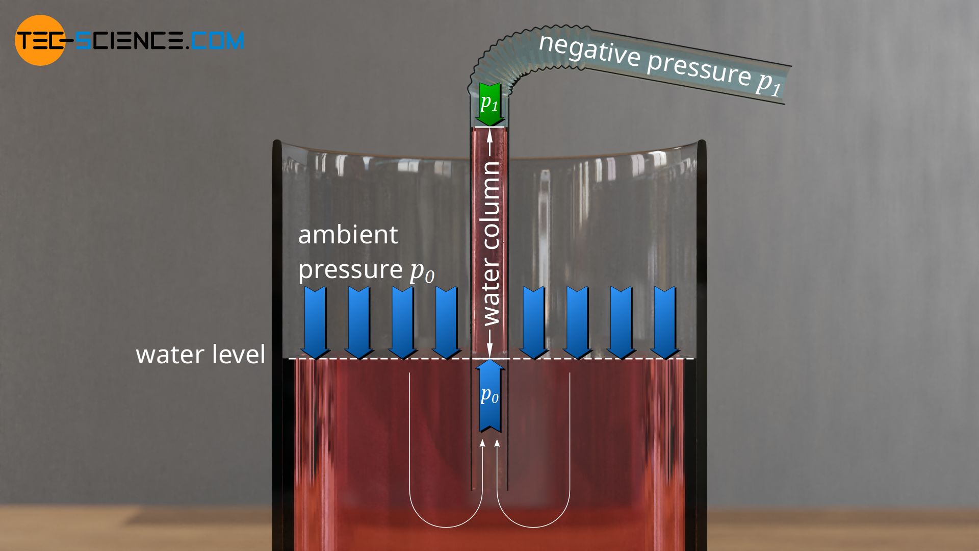 How does a drinking straw work? tecscience