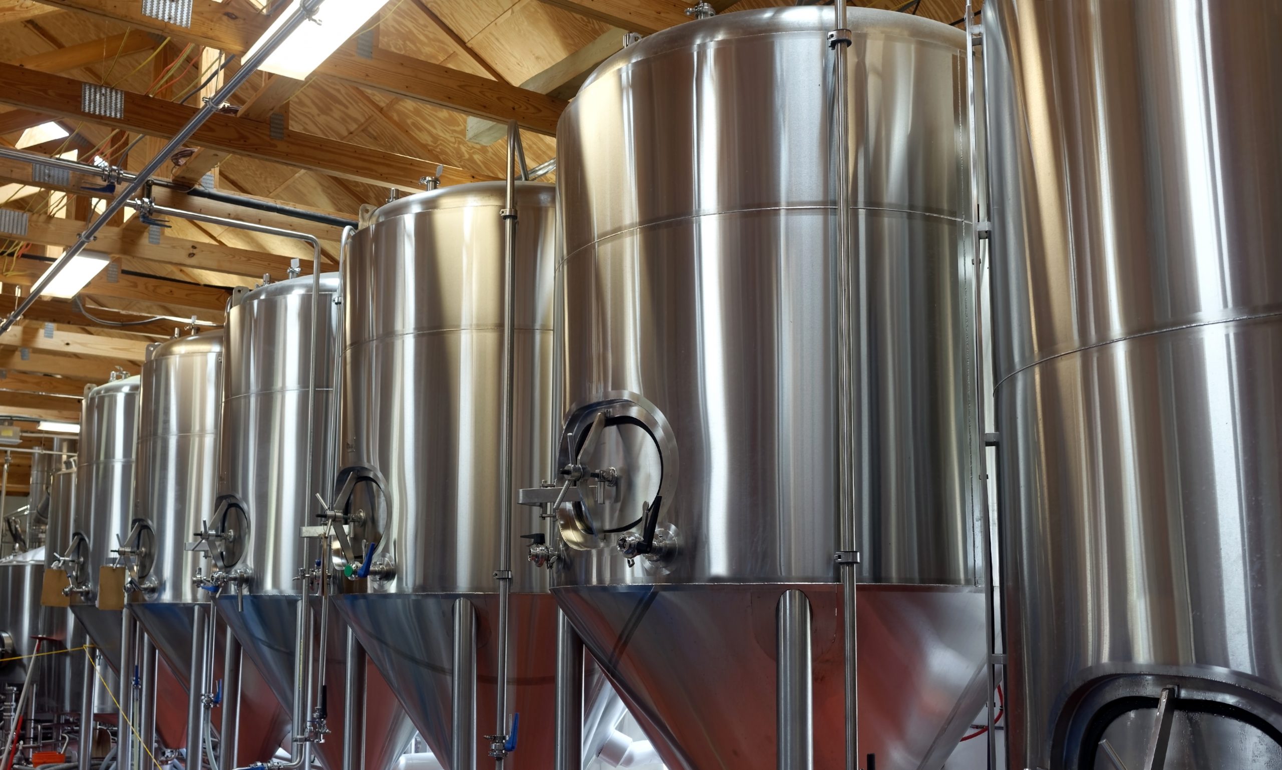 Beer Fermentation Process Monitoring and Optimization Tec5USA
