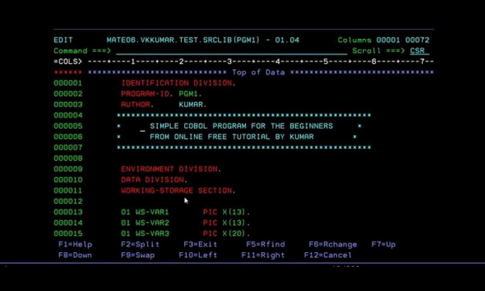 COBOL Programlama Dili Nedir? Nerelerde KullanÄ±lÄ±r? Â» TechWorm