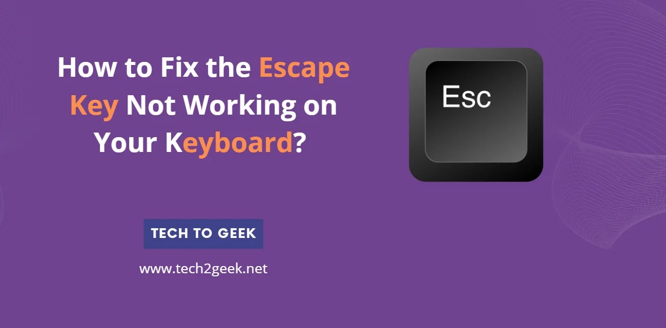 How to Fix the Escape Key Not Working on Your Keyboard? Tech To Geek