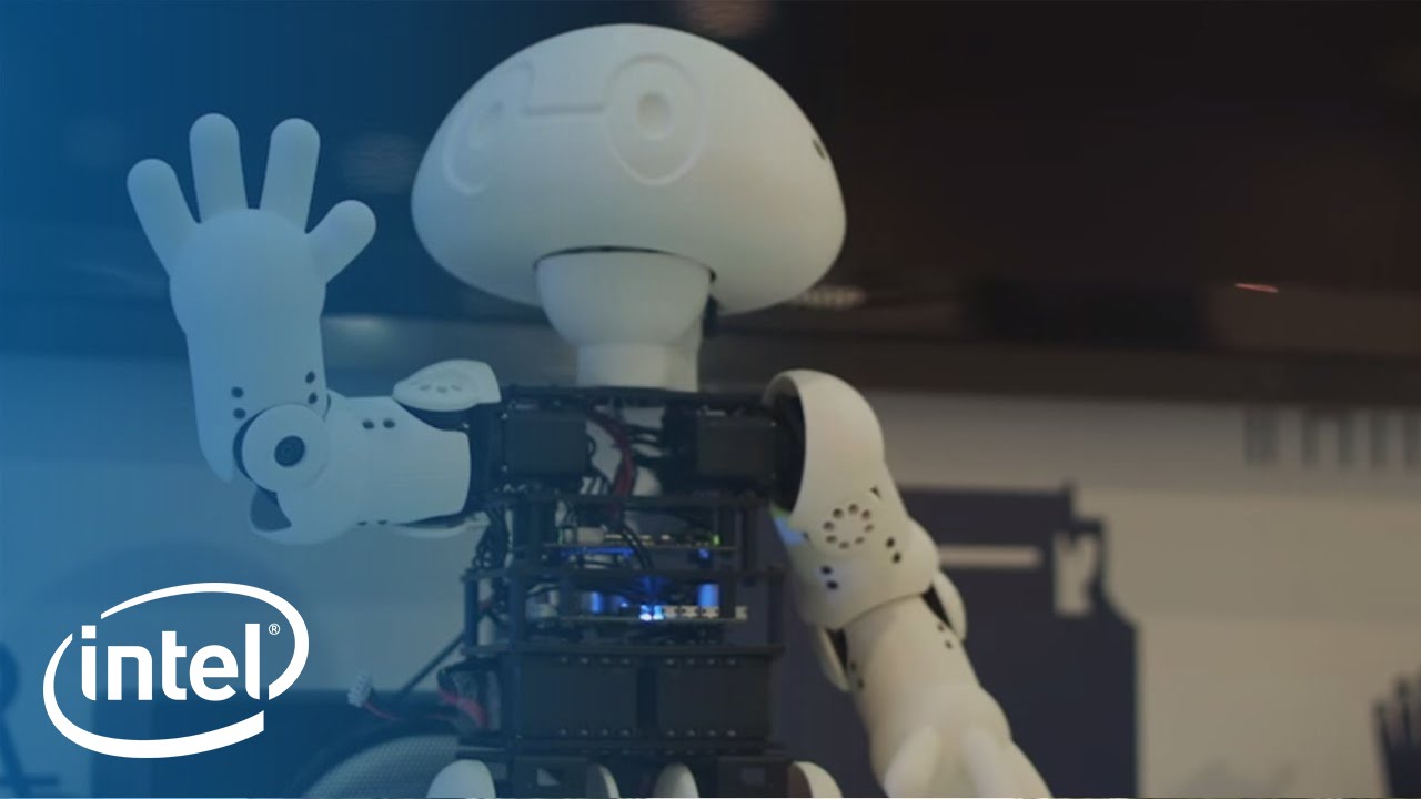 Jimmy the Robot Intel