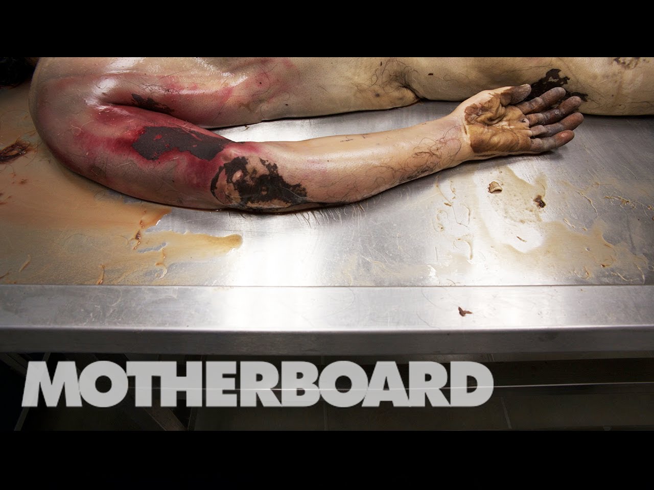 (NSFW) Still Life Reviving the Dead With DIY Forensics (Trailer)