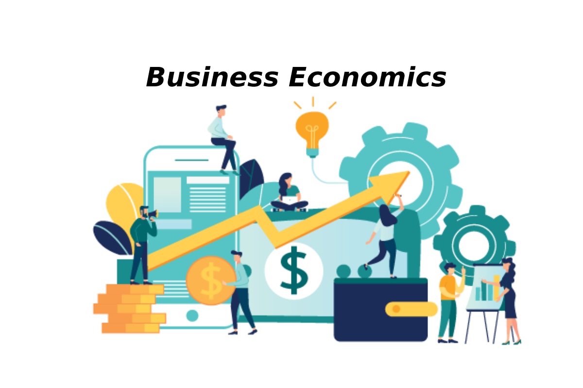 What is Business Economics? Relationships, Types, and More