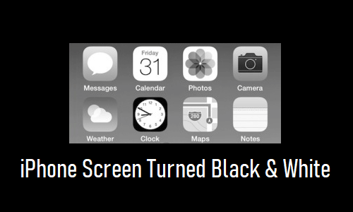 iPhone Screen Turned Black and White How to Fix?