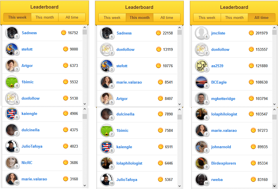 Learn New Languages with Duolingo Best Language Learning App Review