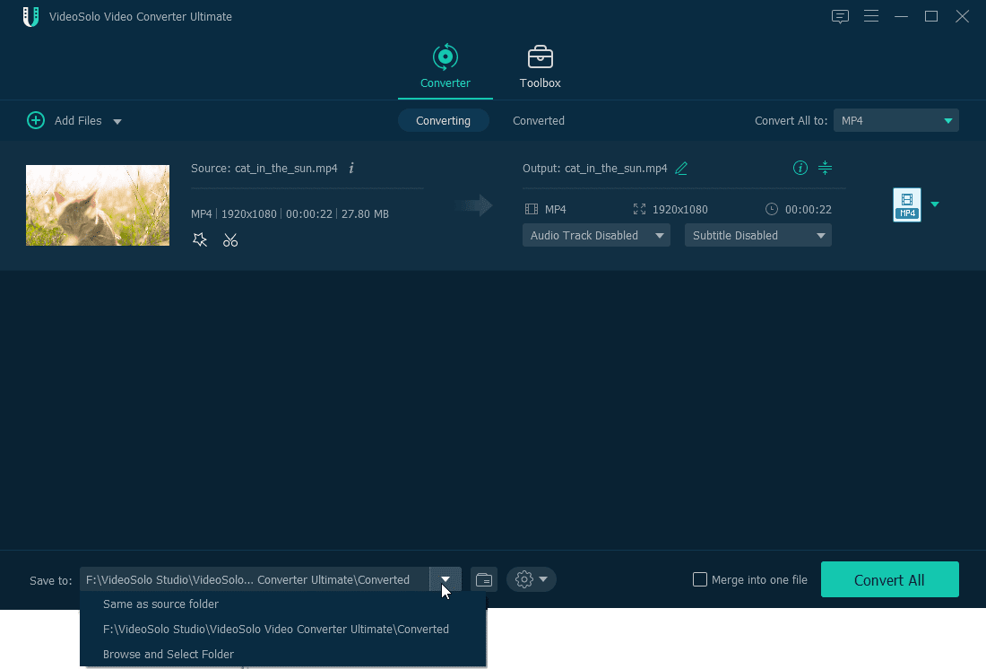 VideoSolo Video Converter Ultimate Review