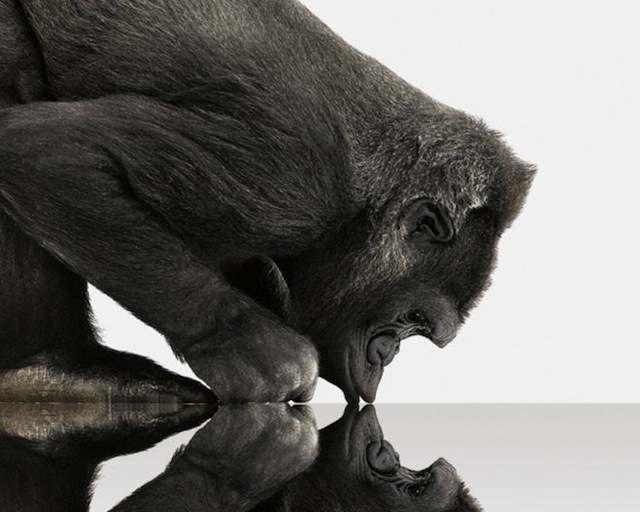 CES 2013 Corning Gorilla Glass 3 to launch, now three times stronger