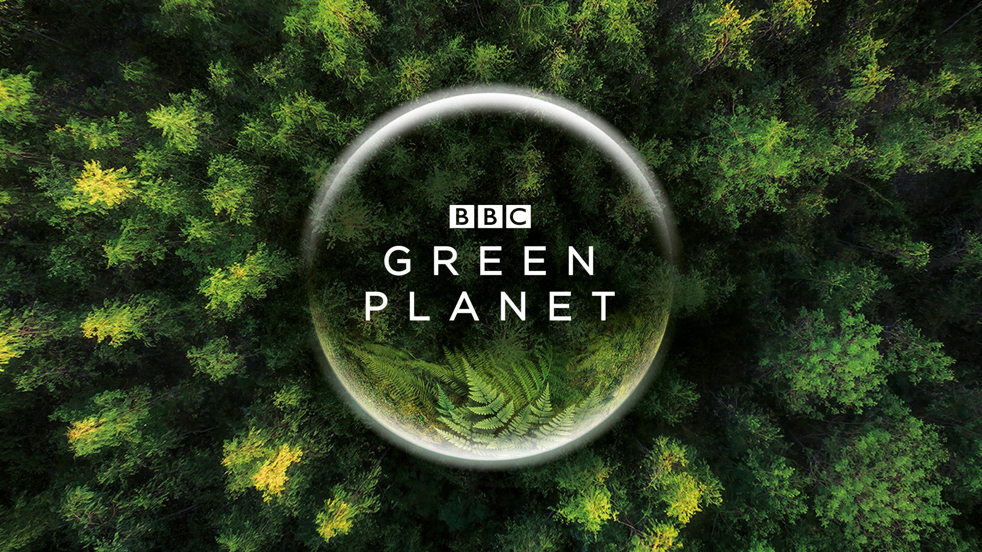Green AR app makes hologram of Sir David Attenborough Tech Digest