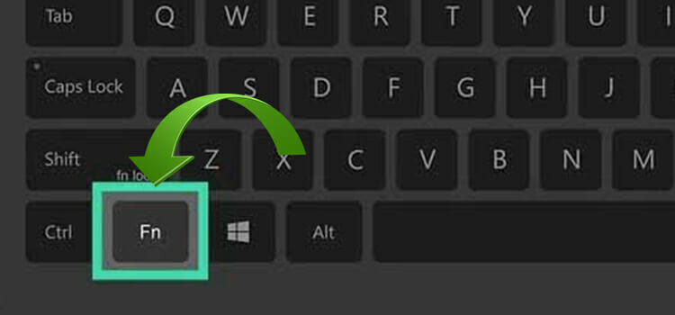 Acer Laptop Win10 Upgraded to v1703 OS version: Fn Key not.