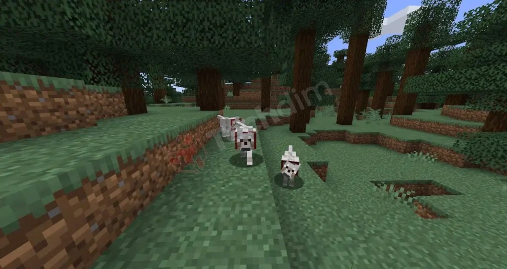 How To Get Wolves To Spawn In Minecraft (Easiest Way) Techdim