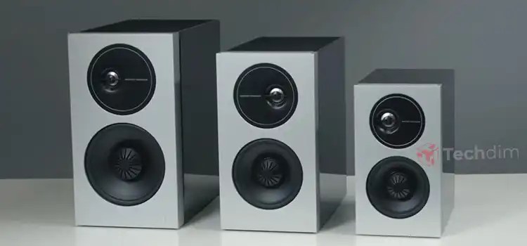 How Do I Reset My Definitive Technology Subwoofer (Just 4 Steps Away