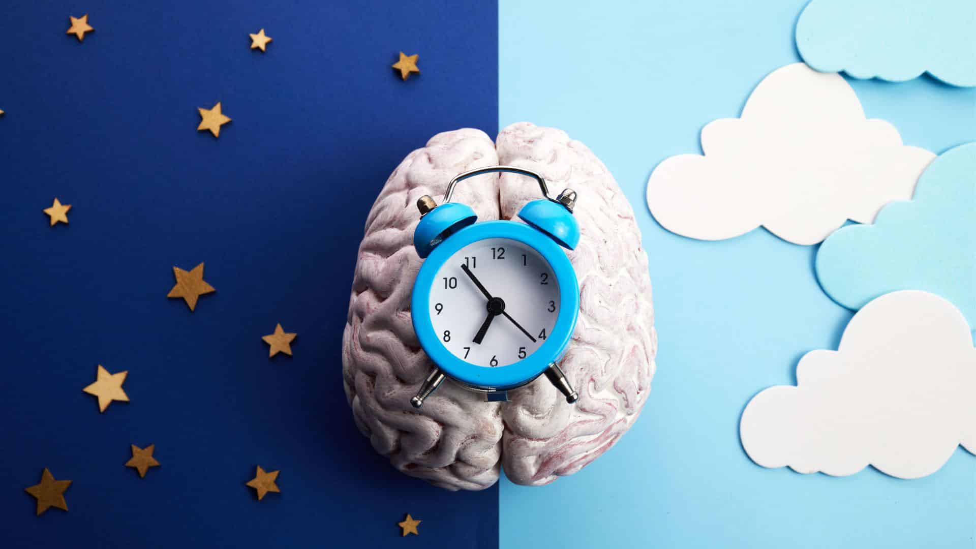 Understanding the internal mechanism of biological clocks