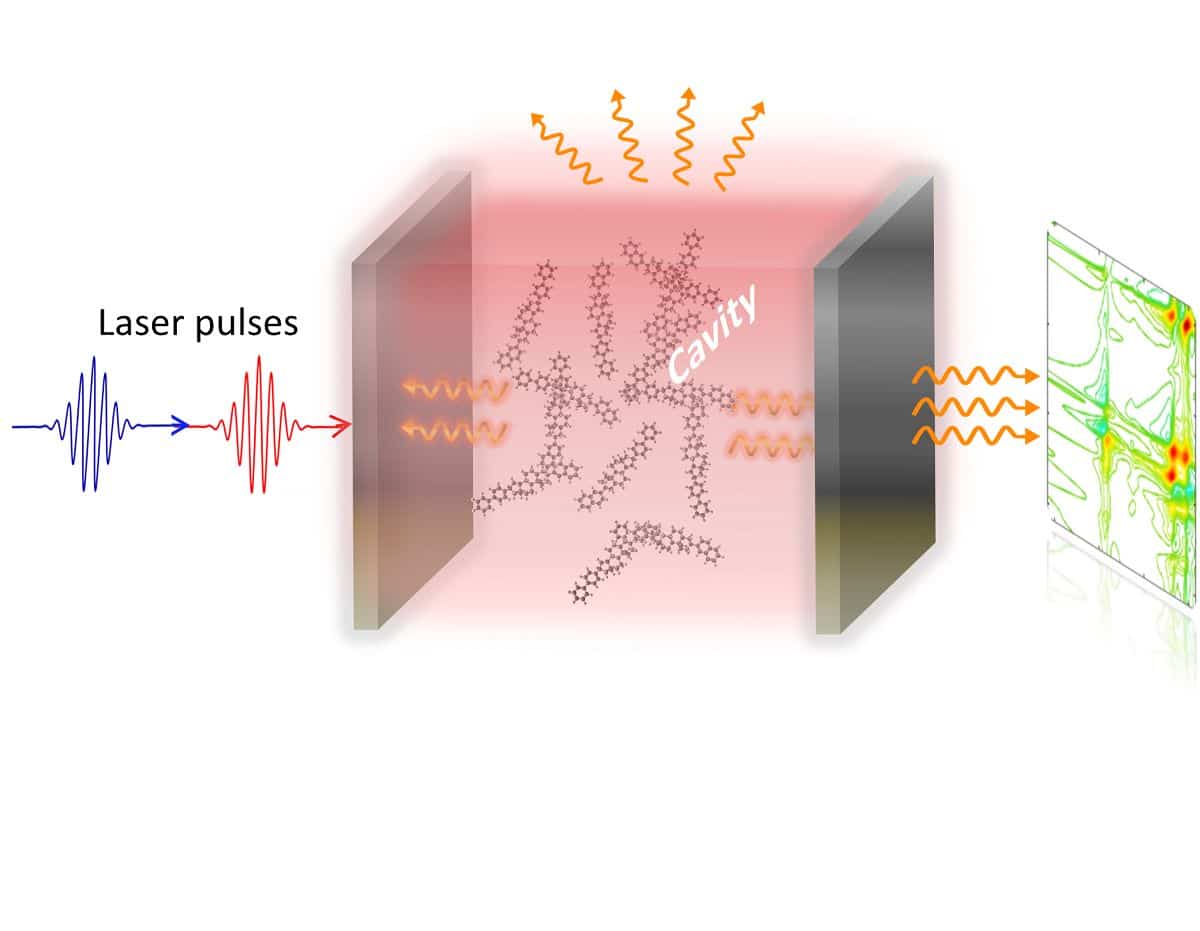 A new quantum theory explains the "lightinduced phase" of matter