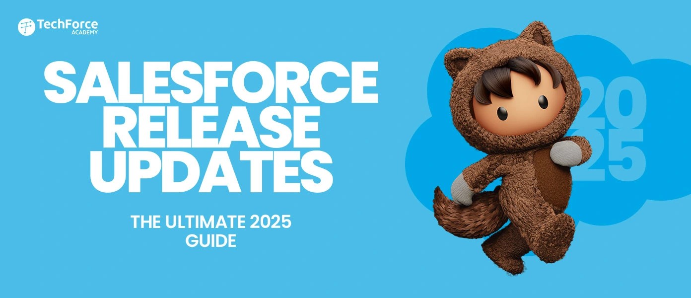 Salesforce Release Updates Guide 2025!