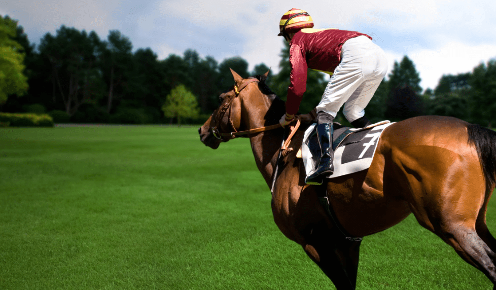 How to bet on horse races for beginners Get Started Betting on Horse