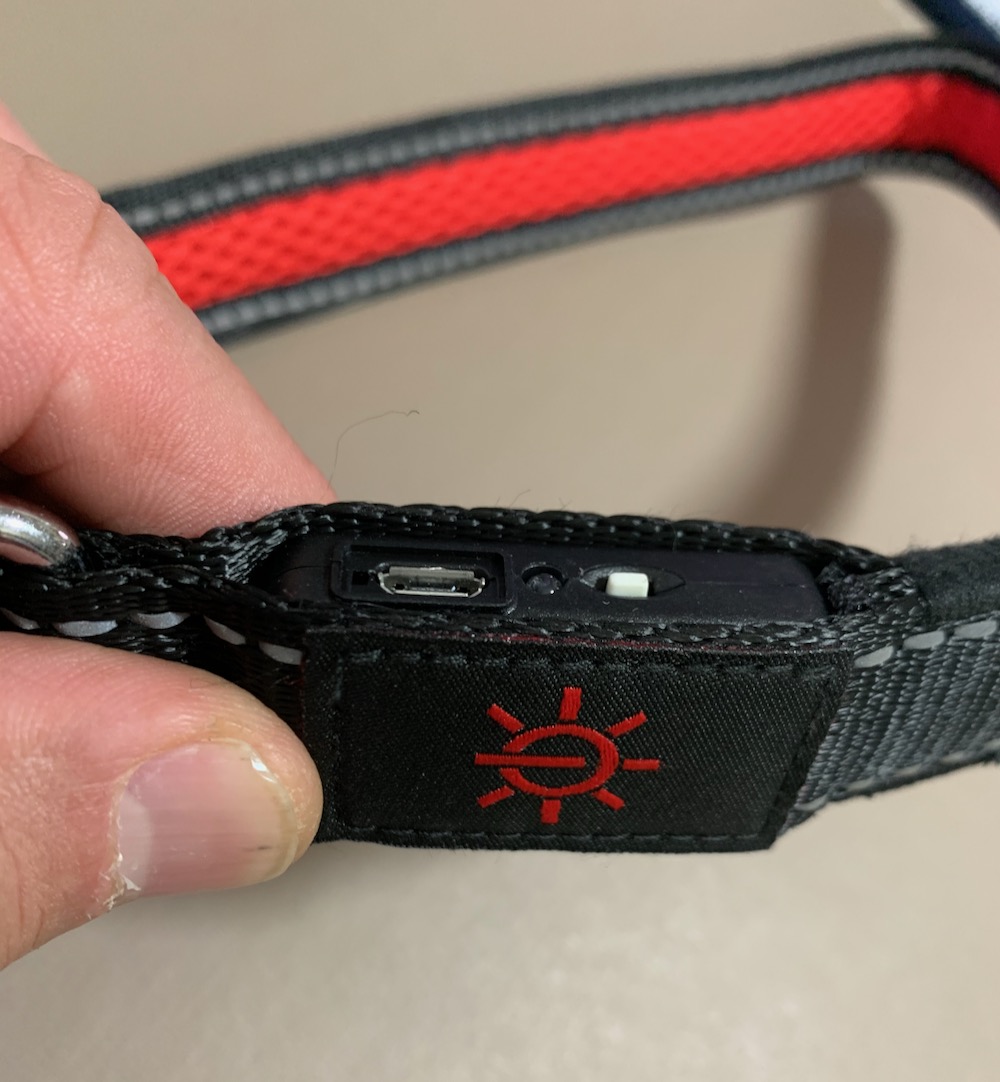 Make your dogs glow with the Mighty Pet LED Lightup collars and leashes Tech Guide