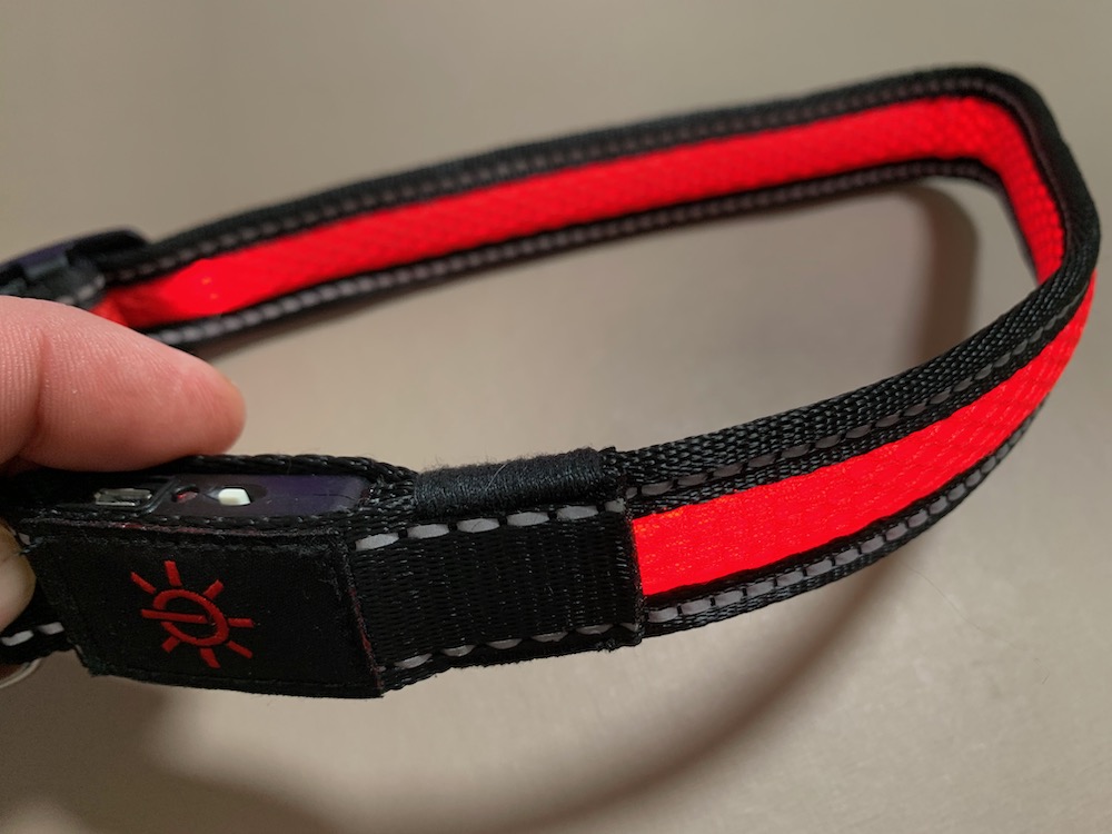 Make your dogs glow with the Mighty Pet LED Lightup collars and leashes Tech Guide