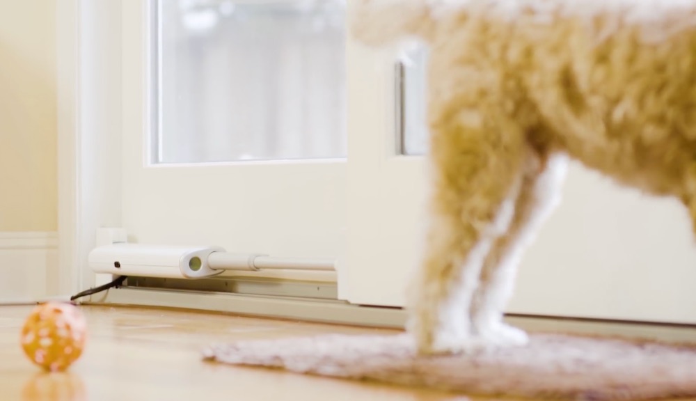 Wayzn is a smart sliding glass door opener for your pets Tech Guide