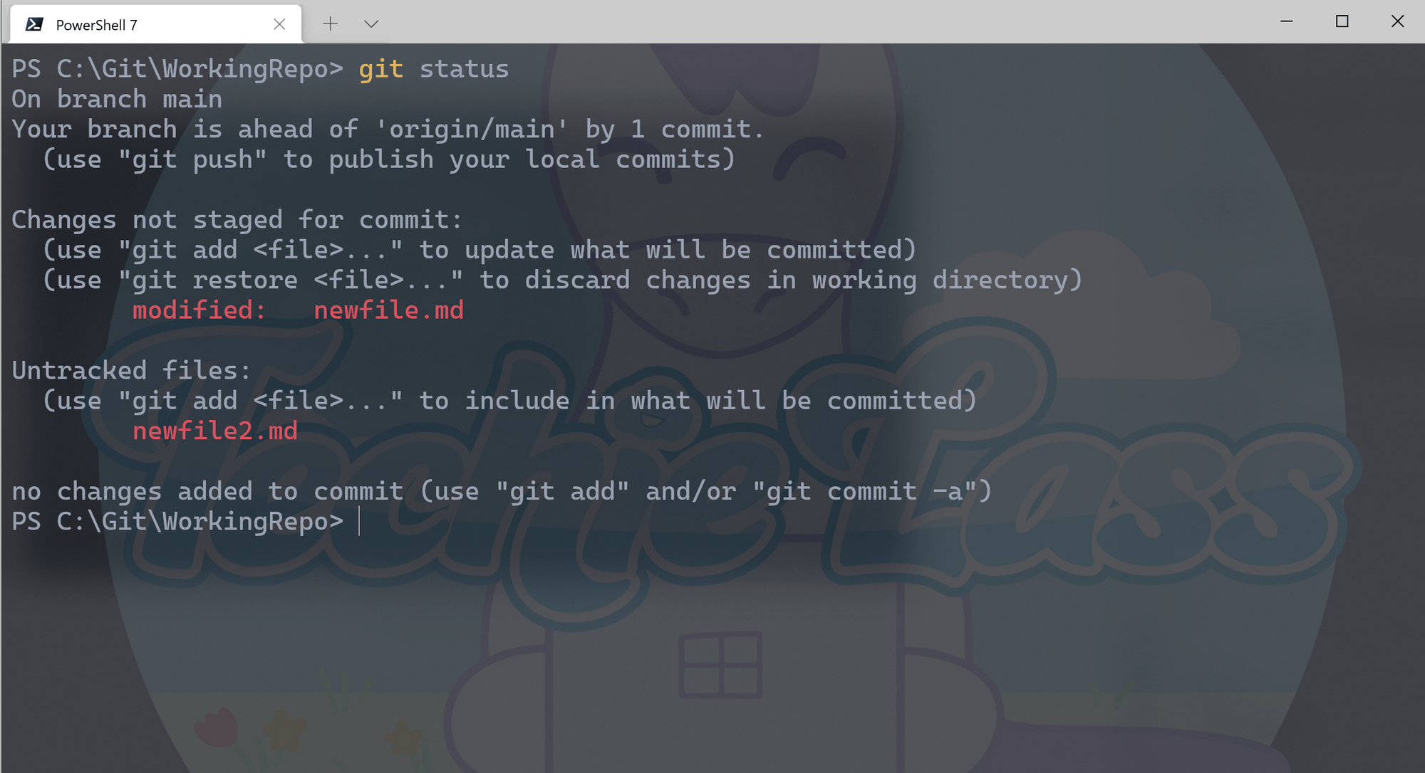 Use the Git Status Command