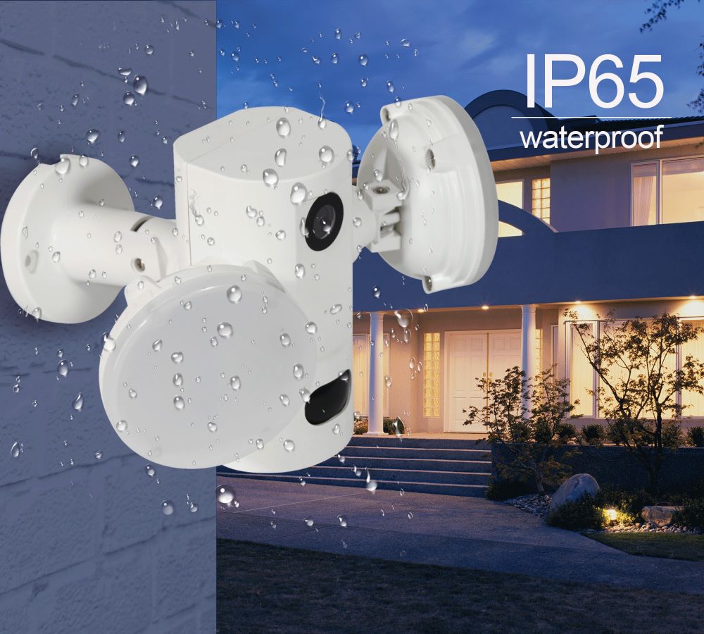 Why Do You Need Motion Sensor Light and Camera