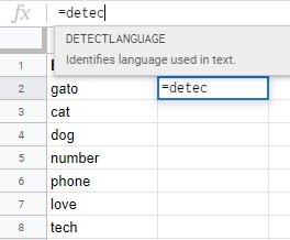 google language