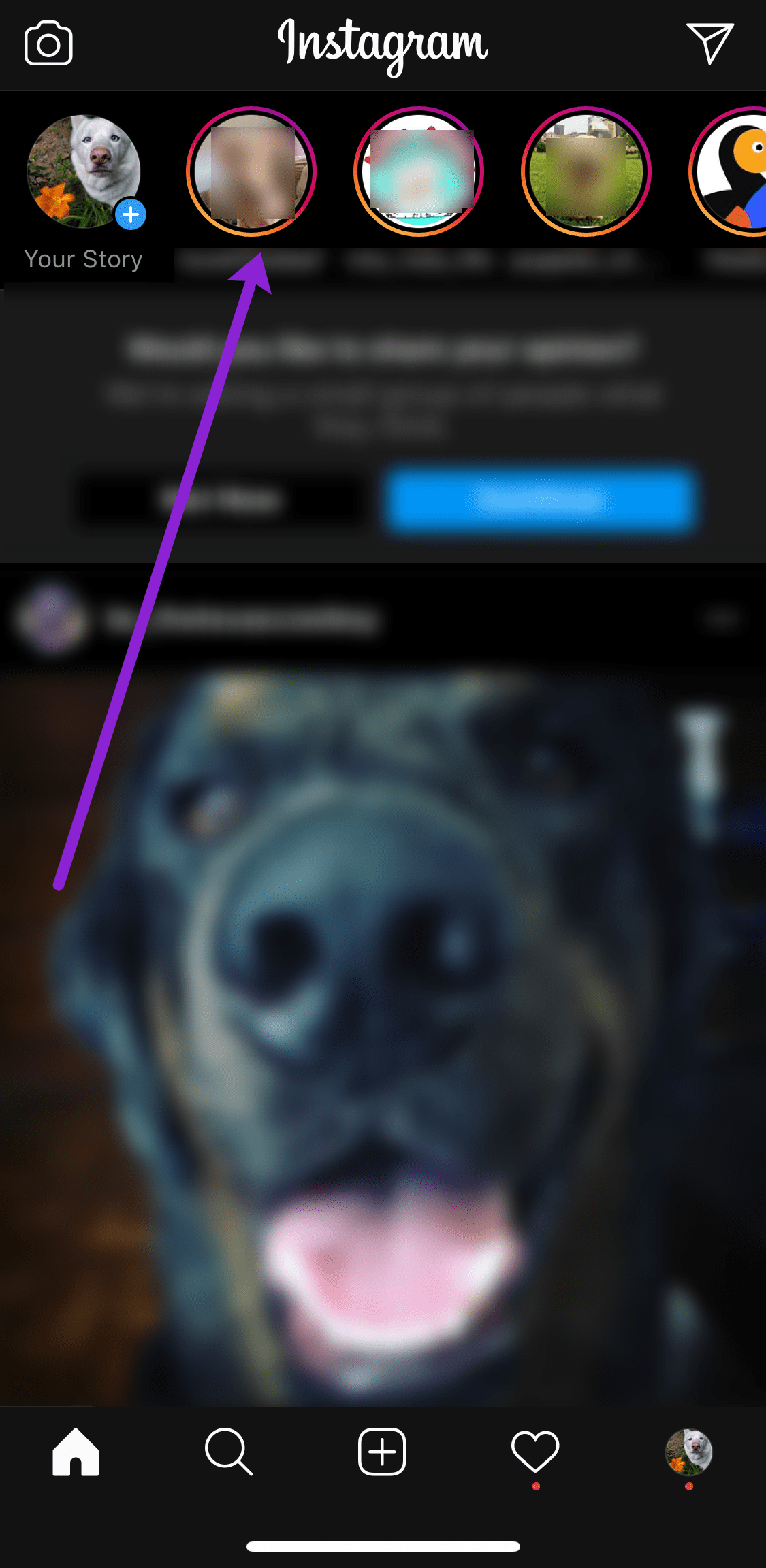 How to Use Instagram Stories Tech Junkie