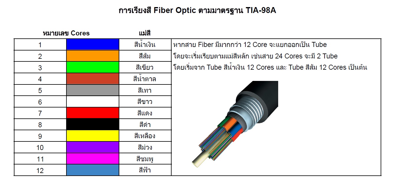 สีของ Fiber Optic บริษัท เทคเน็ตอินโฟร์ จำกัด