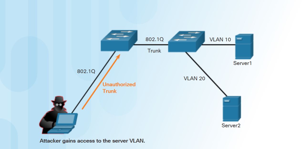 What Are Three Techniques For Mitigating Vlan Attacks Choose Three