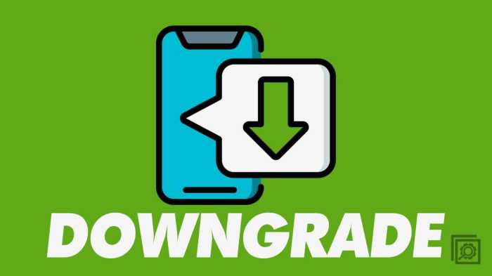 How to Downgrade an App on Android in X Ways - Technipages How to downgrade android os