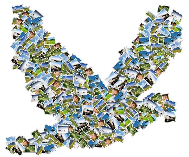 Magic Collage Photo Collage Creator Free License Giveaway [10 Licenses]