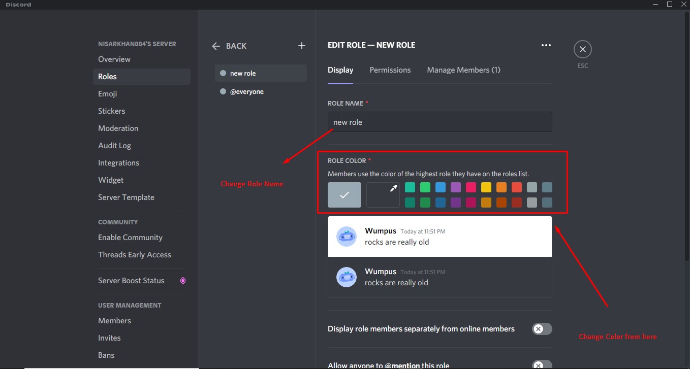 How to change the color of your name in discord? TechnoChops