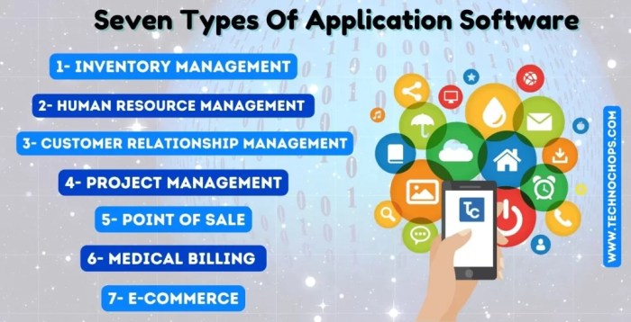 Advantages And Disadvantages Of Application Software Advantages And Disadvantages Of Application Software