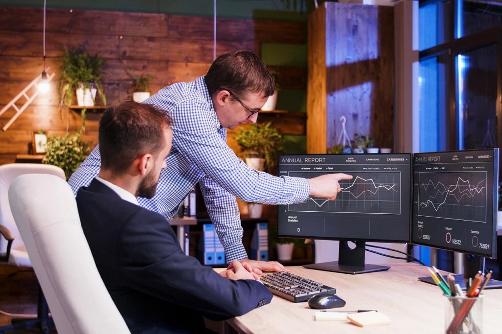 Software Engineering Services Importance for Business Growth