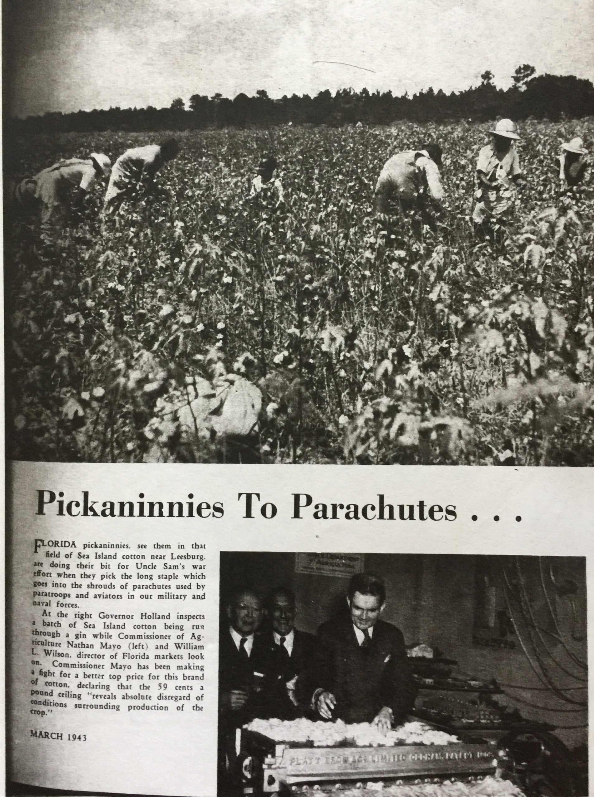 Jim Crow Laws: Definition, Facts & Timeline HISTORY