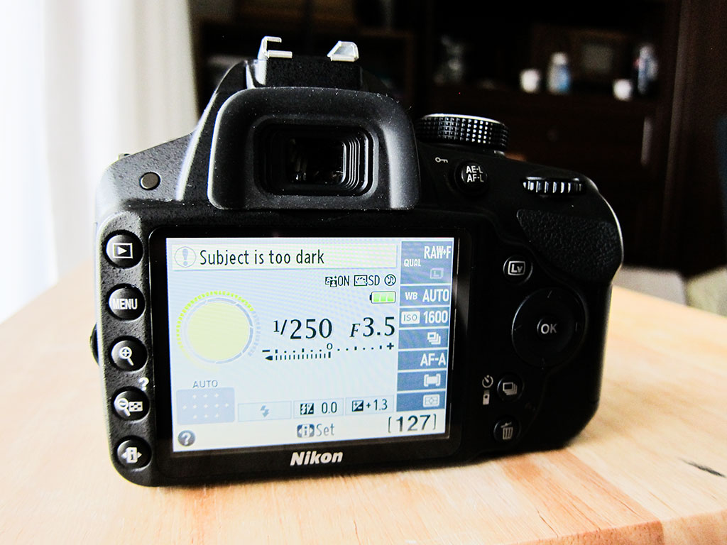 Nikon D3200 Camera Review An Exceptional EntryLevel DSLR Technology X