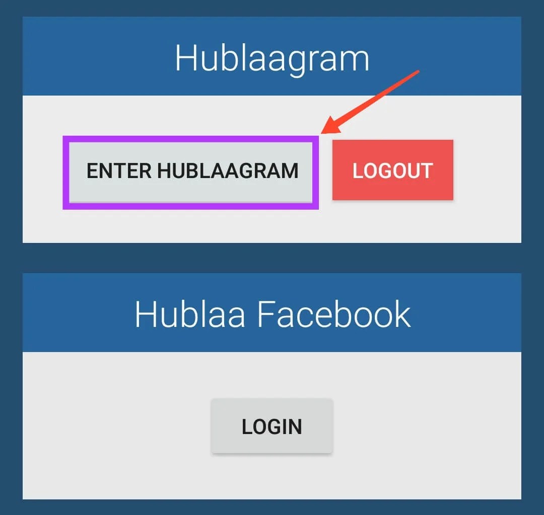 How To Get Instagram Followers Instantly With Hublaagram App