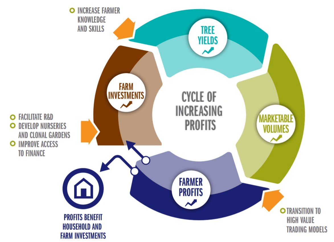 Global Coffee Prices are Rising. How Can Farmers Benefit? TechnoServe