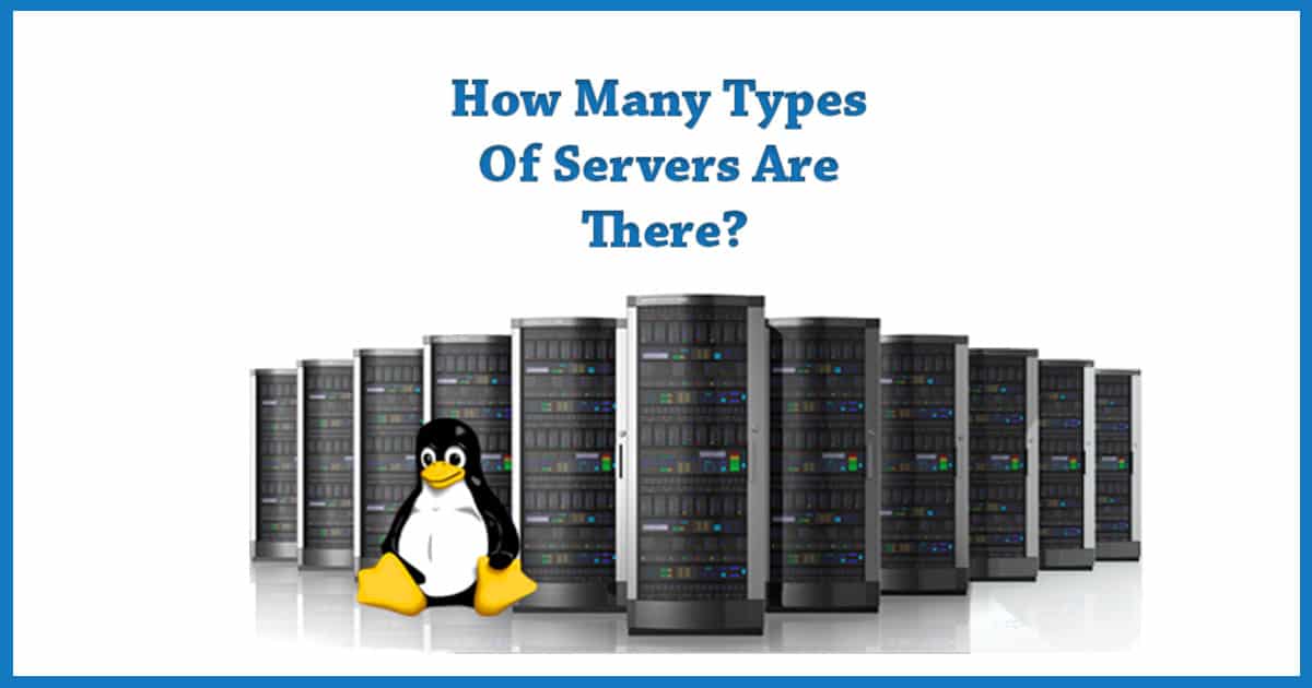 What is a Server? What are the different types of servers?