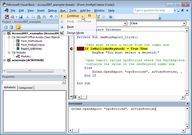 MS Access 2007 Continue VBA code