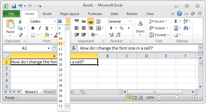 MS Excel 2010 Change the font size in a cell