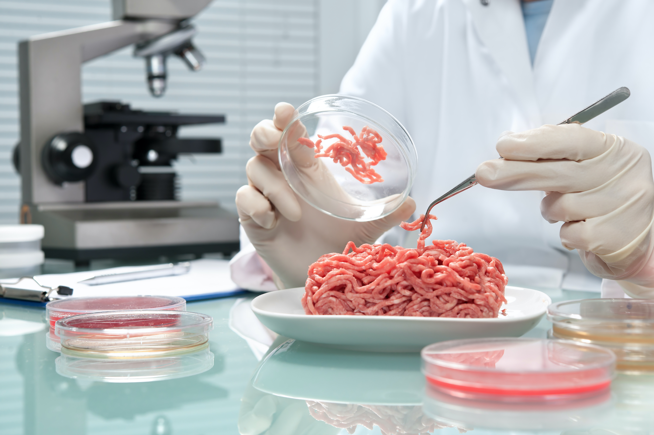 An Unbelievable Technology Growing Meat Without Animals, Lab Made Meat