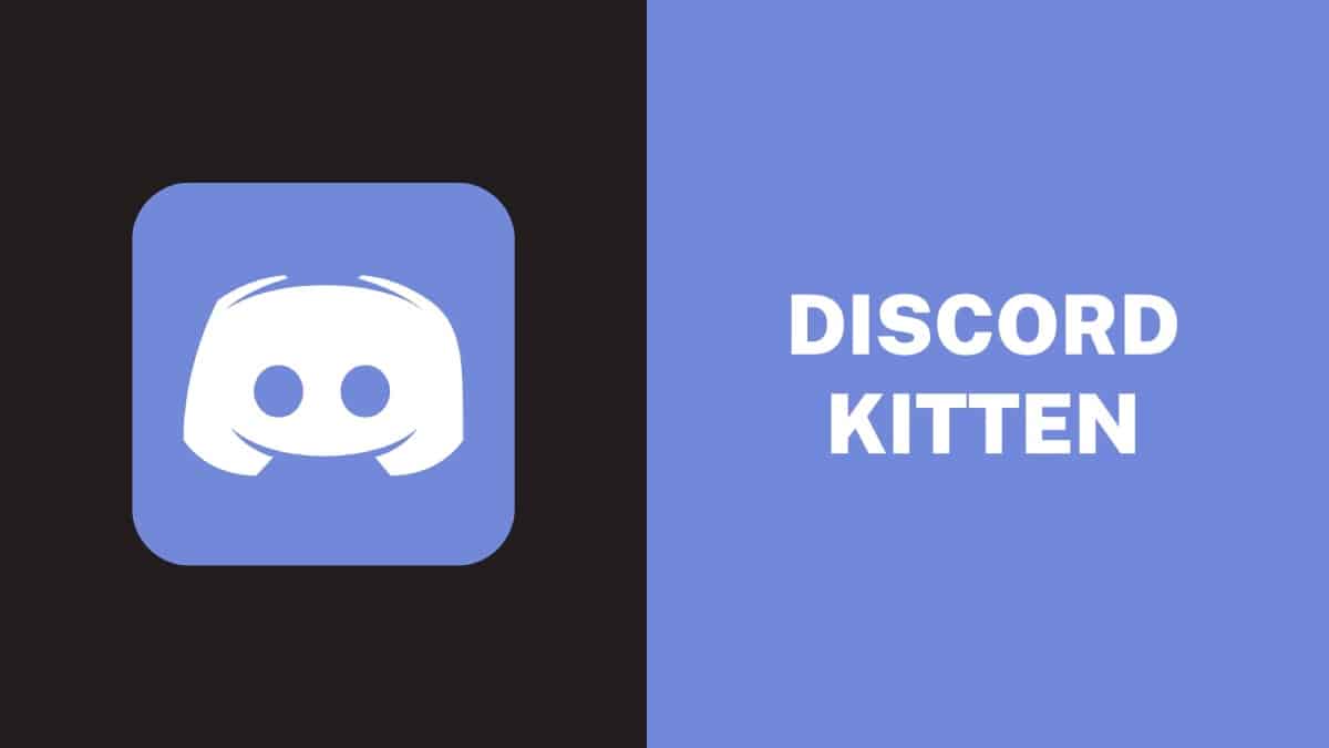 What Is Discord Kitten Meaning and How to Use Discord Kitten?