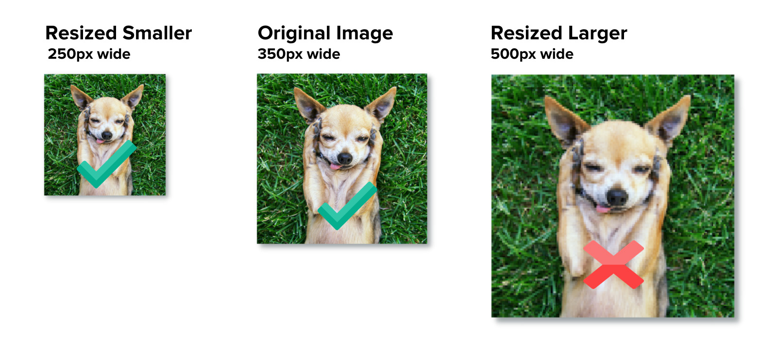How to Resize an Image Correctly The TechSmith Blog