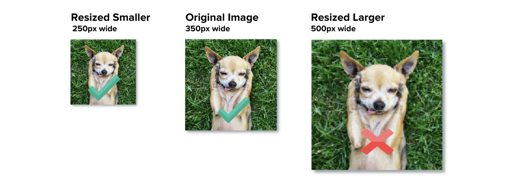 How to Resize an Image the Right Way The TechSmith Blog