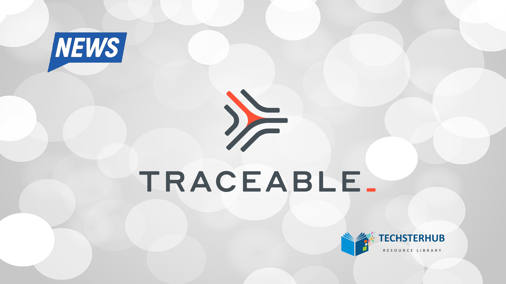 Traceable AI Addresses API-based Data Security And Fraud Attacks In The
