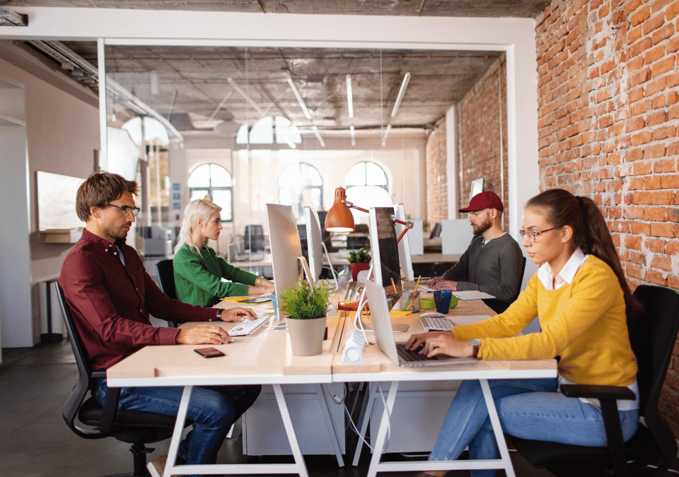 Standard Operating Environment IT Servicess Techstream Solutions