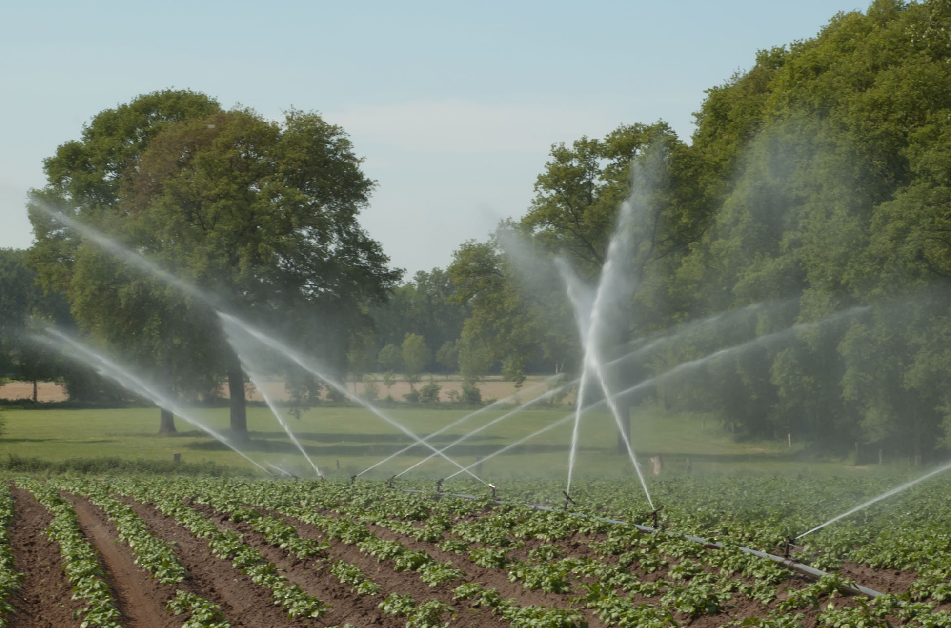 Irrigation Repair What You Should Know • Tech Surprise