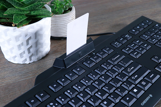 Cherry KC 1000 SC Showcase | Techtesters